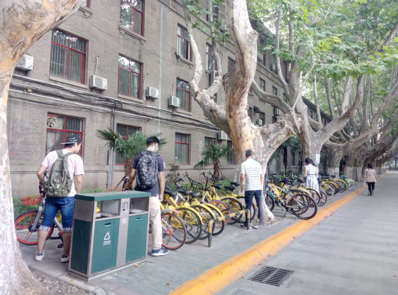 点击查看大图